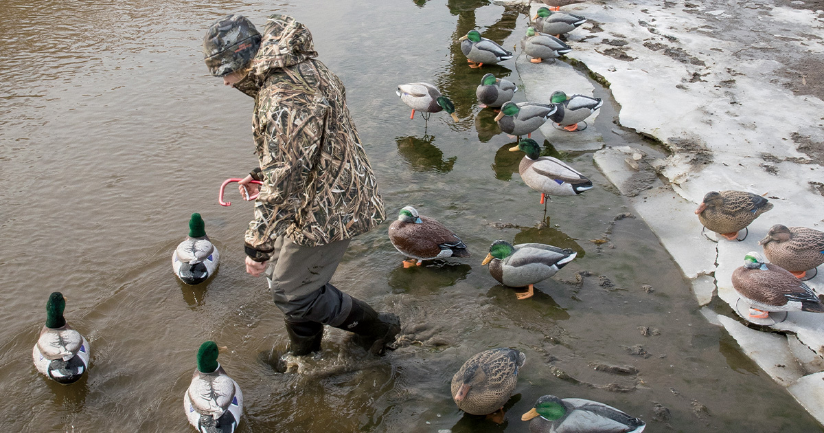 Hunters placing decoys in wetland. By DougSteinke.com_Decoys.jpg